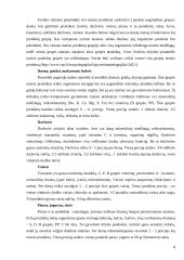 Sveika mityba ir jos priežiūra 7 puslapis