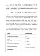 Sveikata ir darbo kompiuteriu sauga 4 puslapis