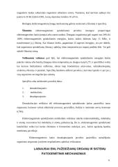 Sveikata ir darbo kompiuteriu sauga 6 puslapis