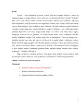 Sveikatos samprata 2 puslapis