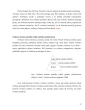 Sveikatos samprata 13 puslapis