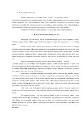 Sveiko gyvenimo būdo įtaka vaiko sveikatai 14 puslapis