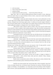 Sveiko gyvenimo būdo įtaka vaiko sveikatai 3 puslapis