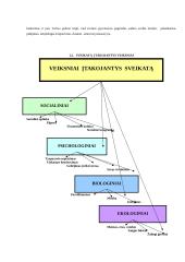 Sveiko gyvenimo būdo įtaka vaiko sveikatai 4 puslapis
