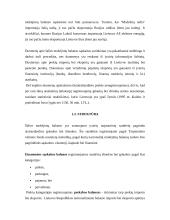 Šalies mokėjimų balansas 2 puslapis