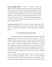 Šalies mokėjimų balansas 6 puslapis