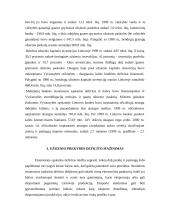 Šalies mokėjimų balansas 7 puslapis