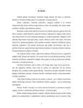 Šeimų, auginančių neįgalų vaiką, problemų analizė socialinio darbo aspektu 3 puslapis