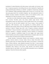 Šešėlinė ekonomika Lietuvoje 11 puslapis