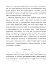 Šešėlinė ekonomika Lietuvoje 13 puslapis