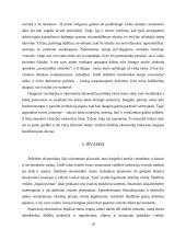 Šešėlinė ekonomika Lietuvoje 19 puslapis