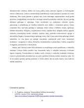 Šešėlinė ekonomika Lietuvoje 20 puslapis