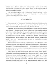 Šešėlinė ekonomika Lietuvoje 4 puslapis