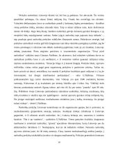 Šešėlinė ekonomika Lietuvoje 10 puslapis