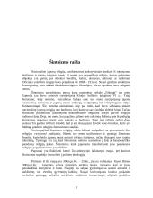 Šintoizmas (Japonų religija) 3 puslapis