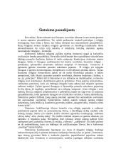 Šintoizmas (Japonų religija) 7 puslapis