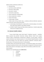 Šiuolaikinės finansinės paslaugos. Kreditai 14 puslapis