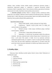 Šiuolaikinės finansinės paslaugos. Kreditai 7 puslapis