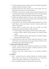 Šiuolaikinės finansinės paslaugos. Kreditai 10 puslapis