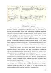 Šlifavimo staklės, įrankiai ir darbas šlifavimo staklėmis 16 puslapis