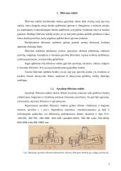 Šlifavimo staklės, įrankiai ir darbas šlifavimo staklėmis 3 puslapis