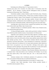 Švenčionėlių seniūnijos rekreaciniai tyrimai 2 puslapis