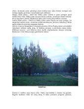 Talšos ežero ir jo apylinkių ekosistema 7 puslapis