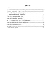 Tarnautojų darbo kultūra įmonėse 2 puslapis