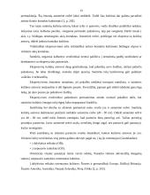 Tarnautojų darbo kultūra įmonėse 12 puslapis