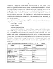 Tarnautojų darbo kultūra įmonėse 14 puslapis