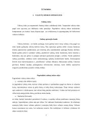 Valiutų rinka ir valiutų rinkos operacijos 2 puslapis