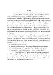 Tarptautinė organizacija kaip socialinė sistema 2 puslapis