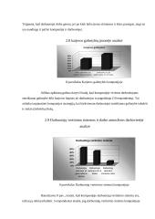 Tarptautinė organizacija kaip socialinė sistema 17 puslapis