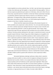 Tarptautinė organizacija kaip socialinė sistema 6 puslapis