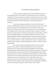 Tarptautinė organizacija kaip socialinė sistema 7 puslapis