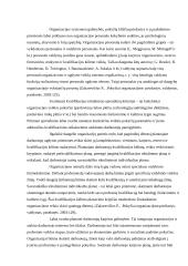 Tarptautinė organizacija kaip socialinė sistema 8 puslapis