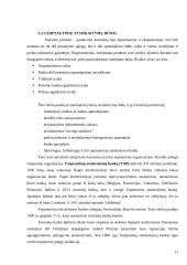 Tarptautinė prekyba ir atsiskaitymai 12 puslapis