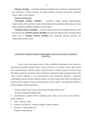 Tarptautinė prekyba. Jos privalumai ir trūkumai 11 puslapis