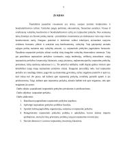 Tarptautinė prekyba. Jos privalumai ir trūkumai 3 puslapis