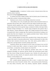 Tarptautinė prekyba. Jos privalumai ir trūkumai 4 puslapis