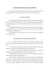 Tarptautinės institucijos 4 puslapis