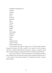 Tarptautinės institucijos 7 puslapis