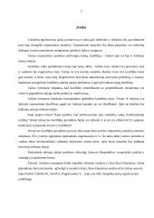 Tarptautinės krizės: kilmė, raiška ir valdymas 2 puslapis