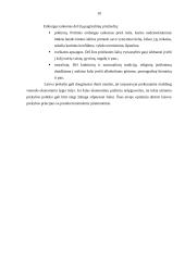 Tarptautinės prekybos pobūdis pasaulinėje ūkio sistemoje bei jos nauda ir žala 10 puslapis