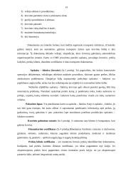 Tarptautinės prekybos valdymas: UAB "Ramaudra" 12 puslapis