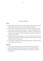 Tarptautinės prekybos valdymas: UAB "Ramaudra" 17 puslapis