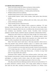 Tarptautinės valiutos kurso sistemos 12 puslapis