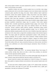 Tarptautinės valiutos kurso sistemos 13 puslapis