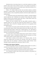 Tarptautinės valiutos kurso sistemos 14 puslapis