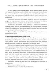 Tarptautinės valiutos kurso sistemos 16 puslapis